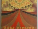 Savoy Brown - Raw Sienna 12