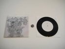 ARIEL PINK Australia Tour EP Gates of Zion Ghosts RARE