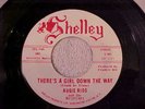 AUGIE RIOS & THE NOTATIONS   I'VE GOT A GIRL   SHELLEY