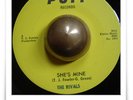 The Rivals She's Mine NORTHERN SOUL R&B MOD 45 HEAR