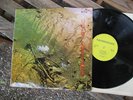 UGLY CUSTARD SAME LP IN 1971 MINT UK PRESS 