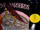 CLEAN 1968 ORIG  THE YARDBIRDS   LIVE NY  Page Zeppelin