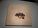 June of 44 Tropics and Meridians LP wooden box poster