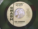 THE AMBERS-POTION OF LOVE