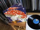WITTHÜSER & WESTRUPP DER JESUS PILZ 1971 MINT KRAUT. lp