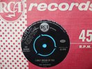 CHARADES OZ FREAKBEAT SAMPLE “I ONLY DREAM OF YOU”