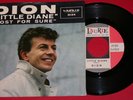 DION 