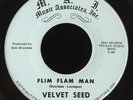 M.A.I.   Velvet Seed   Garage Psych 45 ?