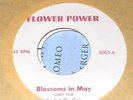 60's CHICAGO GARAGE Rock A Go Go's 45 Flower Power#5005