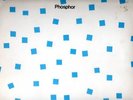 Punk NDW Lp PHOSPHOR frisch und fruchtig    No Fun