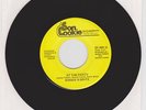 MODERN SOUL/BOOGIE-SONNIE N BRITE-AT THE PARTY-INDEMAND