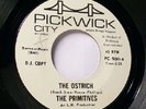 Rock/garage 45 * Primitives * The Ostrich * Stvg++