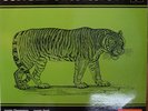 Nino Nardini Jungle Obsession Crea Library BREAKS HEAR