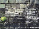 *BEATLES 