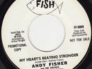 NORTHERN SOUL 45 RPM - ANDY FISHER on FAT FISH