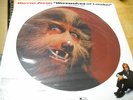 Warren Zevon Werewolves of London promo picture disc