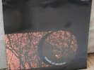 Sounds of Salvation UK Reflection Folk Psych RARE LP EX