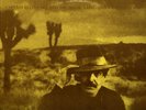 CAPTAIN BEEFHEART DON'S BIRTHDAY PARTY 2 LP COLOR VINYL