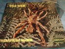 THE WEB THERAPHOSA BLONDI  RARE DERAM PROG PSYCH 