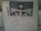 MAN IS THE BASTARD / BLEEDING RECTUM LP crossed out