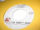 THE REGENTS 45(GEE 1065)BARBARA ANN/STRONG VG+