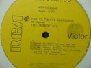COSMIC DISCO* The Immortals - The Ultimate Warlord 1979