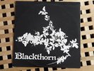 BLACKTHORN RARE UK PRIVATE FOLK PSYCH LP FEMALE VOCALS