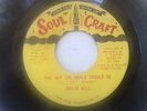 DAVID WILL-thats the way-SOUL CRAFT-RARE CROSSOVER SOUL
