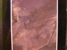 NURSE WITH WOUND lim100 LP COIL-CURRENT 93-EXPERIMENTAL