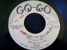 1966 GARAGE--MYSTIC FIVE--ARE YOU FOR REAL GIRL?--GO-GO
