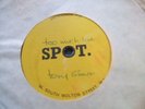 Fleur de Lys/Tony Simon - Too Much Love 1967 ACETATE