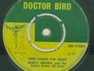 BUSTY BROWN HERE COMES NIGHT OG UK DOCTOR BIRD 7