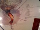 Circa Survive on letting go vinyl brand new