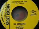 Rare In-Demand Northern Soul - THE DRAMATICS - MINT