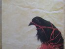 Death Cab For Cutie  Transatlanticism 2xLP NM Vinyl