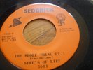 SEEDS OF LIFE whole thing RARE FUNK BOMB segrick 45