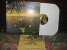 Sun Araw - Beach Head LP psych blank dogs wavves lo fi