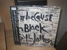 IS IT BECAUSE I'M BLACK SYL JOHNSON LP 