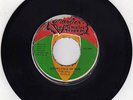 VICEROY - KNOWLEDGE OF NOW- VICTORIUS STEPPERS  7