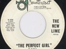 Kentucky Garage 45-New Lime-The Perfect Girl-Hear 