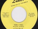 Ohio Garage 45-Little Willie & Wonders-Lunar-Hear 