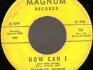 DEEP / NORTHERN SOUL- CHARLES PERRY - MAGNUM - LISTEN