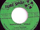 LLOYD WILLIAMS / WONDERFUL WORLD / SURE SHOT / LISTEN