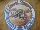 LYNYRD SKYNYRD FREEBIRD R&R PICTURE DISC ON MCA