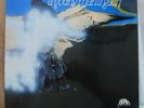 Gash - A young man`s gash. Rare LP