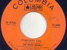 THE MAGIC BUBBLE - WHISKEY FIRE -RARE CANADA GARAGE NM