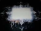Tool Aenima Record Vinyl FIRST PRESSING #72445-11087-1