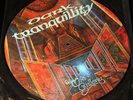 Dark Tranquillity - The Gallery - LP (picture disk)