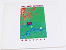 LUNA PARK ENSEMBLE - EXPERIMENTAL/AMBIENT/JAPAN/RARE