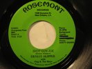 rare funk ERNEST SKIPPER 45 Shotgun Joe ROSEMONT hear